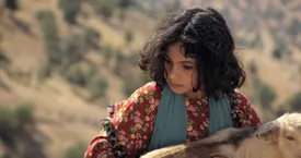 فیلم‌های بفروش حق‌ و حقوق ما را له کرده‌اند | داریم آب می‌شویم!