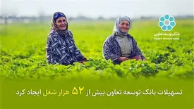 تسهیلات بانک توسعه تعاون بیش از 52 هزار شغل ایجاد کرد