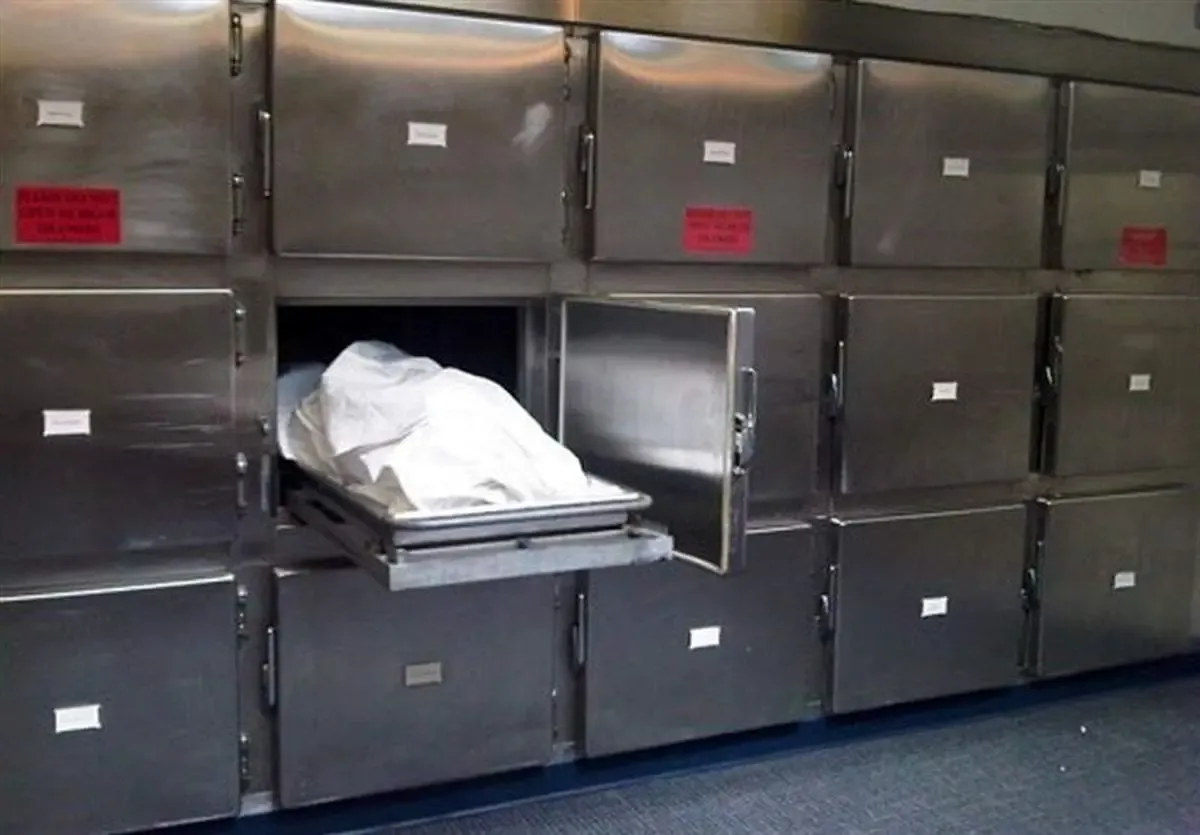 مرگ یک دامدار در فسا بر اثر ابتلا به تب کریمه کنگو