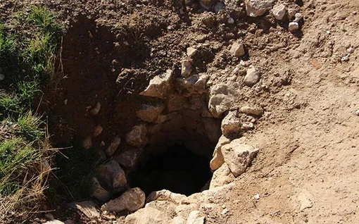 افزایش حفاری‌های گنج در روزهای جنگ!