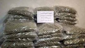 کشف مواد مخدر با پوششی عجیب در گمرک آستارا