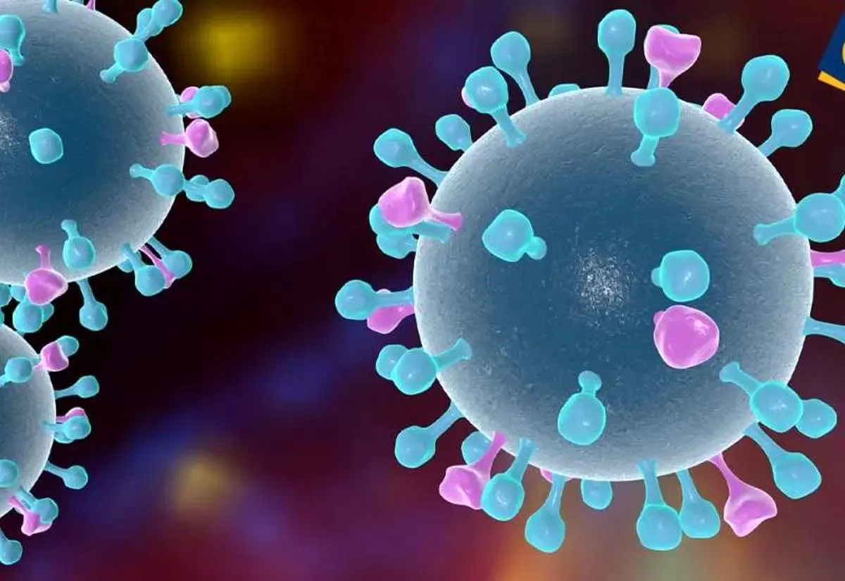 ویروس فصل گرما