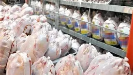 اختلاف قیمت ۱۴ هزارتومانی مرغ از تولید تا مصرف!