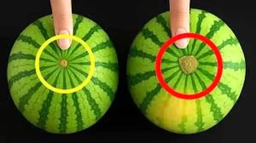 ترفندهای شناسایی هندوانه قرمز برای شب یلدا