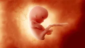 هزینه سقط جنین غیرقانونی از ۱۰ تا ۱۵۰ میلیون تومان