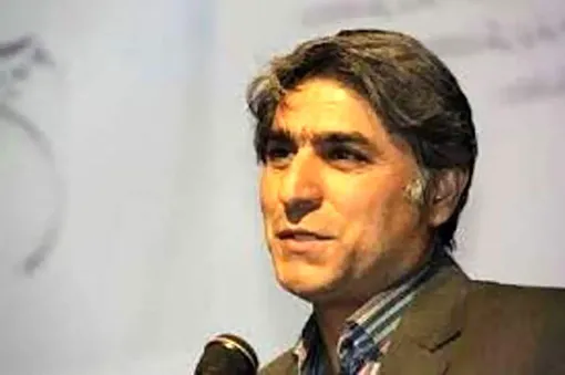 تهدید جنگل‌ها با قاچاق سبز