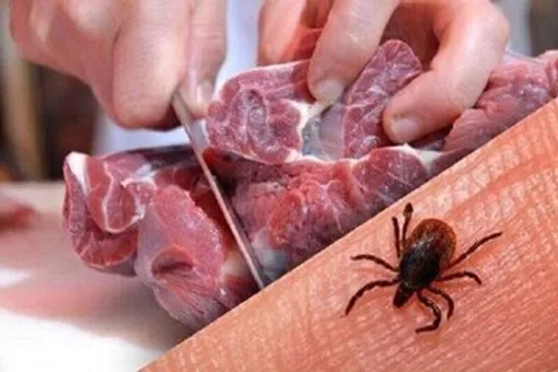 آژیر خطر این بیماری در خراسان رضوی به صدا در آمد