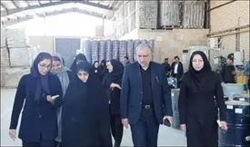 بهره‌برداری از ۲ واحد تولیدی دانش بنیان و فناور بانوان کارآفرین در شهرک صنعتی چناران با حضور معاون امور زنان و خانواده ریاست جمهوری