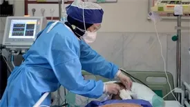 ورودی بیماران کرونایی به طرز عجیبی افزایش پیدا کرده است/ از نیاوران، تجریش و سعادت آباد هم مراجعه داریم