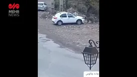 خرس روی سقف ماشین در جاده چالوس/ فیلم