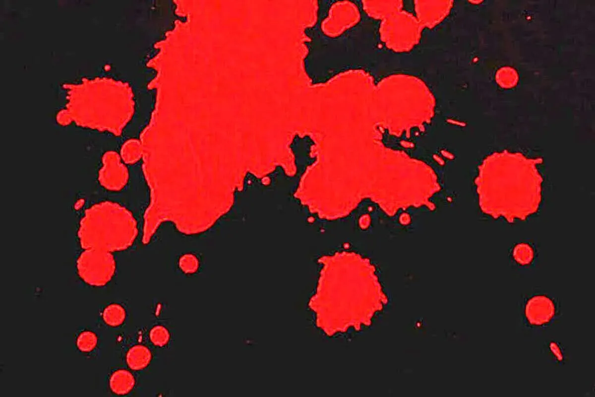 سرنوشت تلخ دختر جوان/ از فرار از خانه تا کشف جسد در سطل زباله