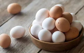 تخم مرغ دانه‌ای چند؟ / جدول قیمتها